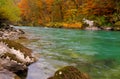 Tara river in the Canyon near ÃÂurÃâeviÃâ¡a Tara Bridge, Montenegro - autumn picture